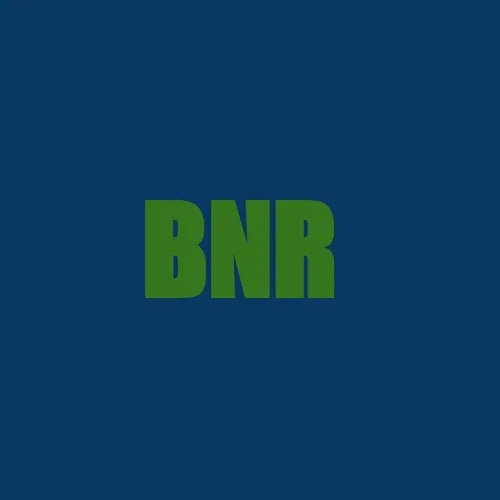 BNR Crime Investigation