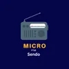 MicroFM