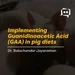 Implementing Guanidinoacetic Acid (GAA) in pig diets - Dr. Balachandar Jayaraman