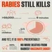 Understanding Rabies: Recognizing Symptoms in Animals