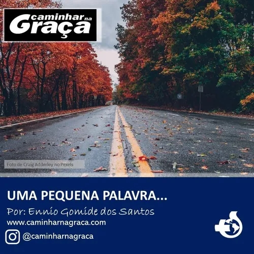 Livre vontade ou obrigação