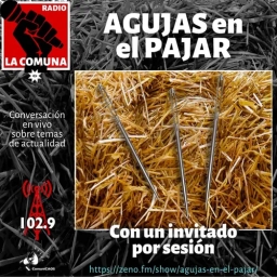 AGUJAS en el PAJAR