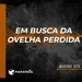 Em busca da ovelha perdida - Mariane Rita