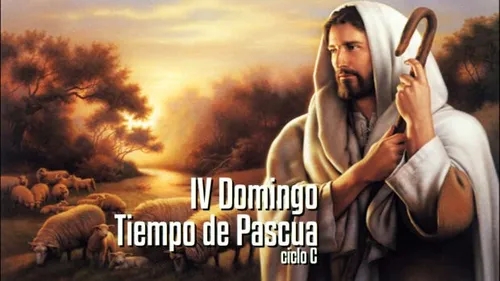 IV Domingo de Pascua (C)
