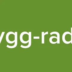 Bygg-radio