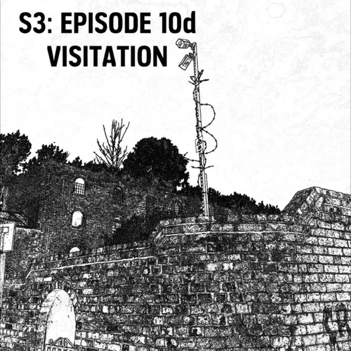 S3: E10d - Visitation