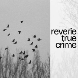 Reverie True Crime