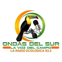 ONDAS DEL SUR 93.3 FM