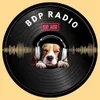 BDP Radio - Todos los clásicos desde el Fin del Mundo