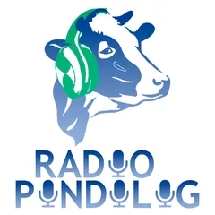 RADIO PINDILIG ONLINE