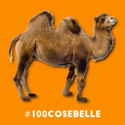 #100cosebelle