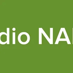 Radio NAPO
