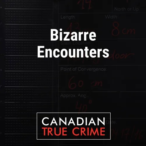 Bizarre Encounters