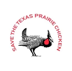 Radio Free Texas Prairie Chicken