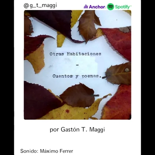 14. "D. G." - Gastón T. Maggi