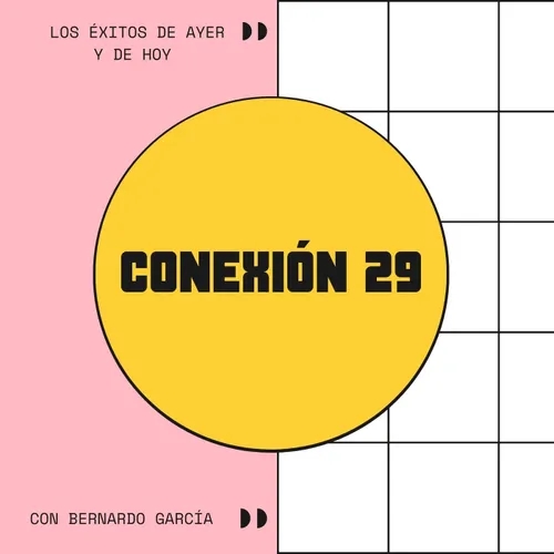 CONEXIÓN 29