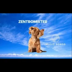 Zentromixter Music Songs