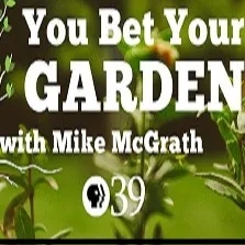 You Bet Your Garden