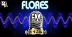 EMISORA FLORES 91.3