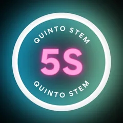 QUINTO STEM