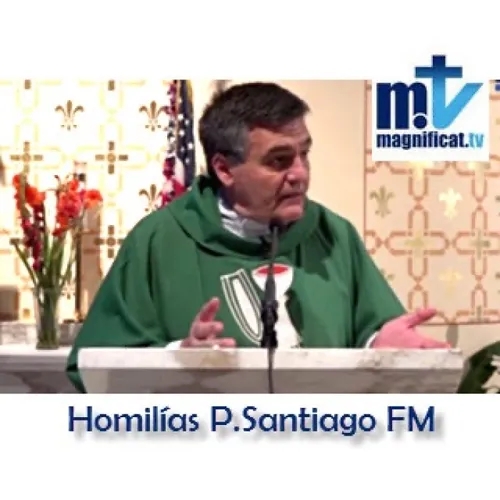 Homilia domingo 1/9/2024, P. Santiago Martín FM