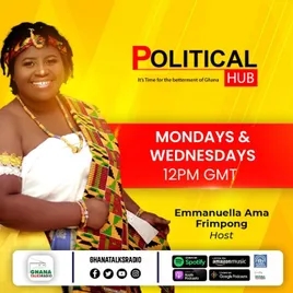 The Political Hub Show