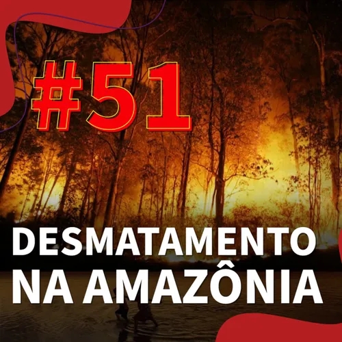 #51 - Desmatamento na Amazônia