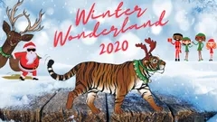 BSC Cosmo Winter Wonderland 2020