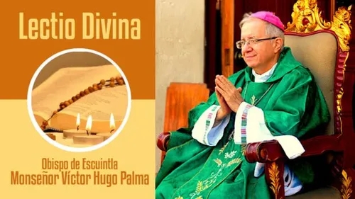 Lectio Divina 09 junio 2022