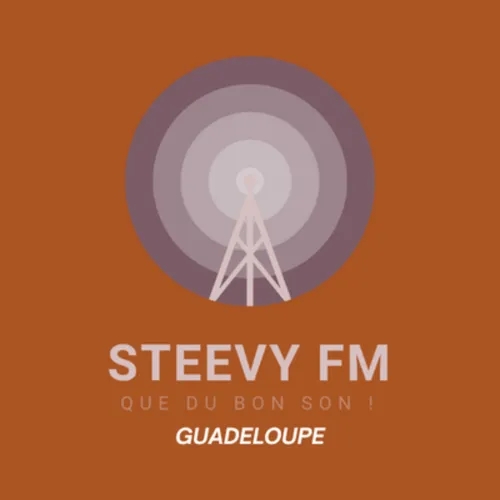 Les Infos - Steevy FM