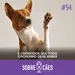 Dicas de adestramento 5 comando que todo cachorro deve saber