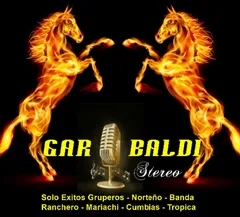 Garibaldi Stereo