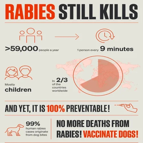 Tackling Rabies: Public Health Measures