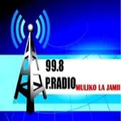 P. Radio 99.8