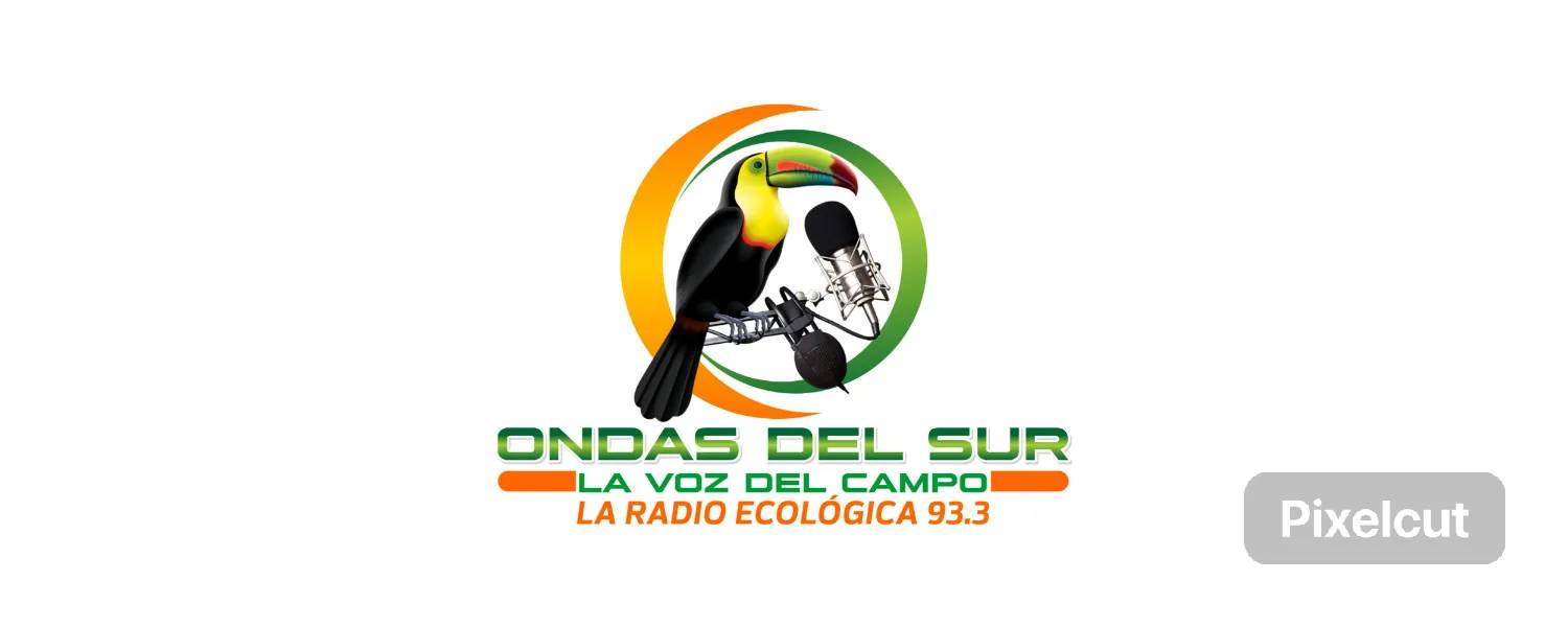 ONDAS DEL SUR 93.3 FM