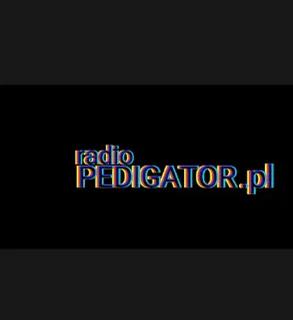 Radio Pedigator Radio Internetowa
