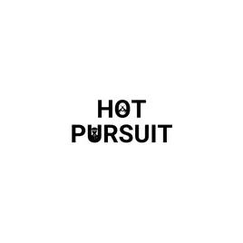 hotPursuit - pursuit radio (gipsy version)