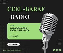 Ceelbaraf Radio