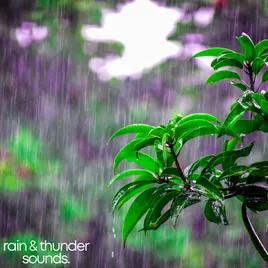 Rain and Thunderstorm Sounds