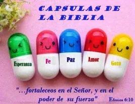 CAPSULAS DE LA BIBLIA