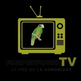 Funpdepuvidradio