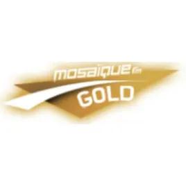 Mosaique FM Gold - (موزاييك إف إم) بث حي