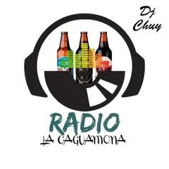 Radio La Caguamona 