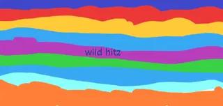 Wild hitz 