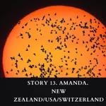 #13. AMANDA. New Zealand/USA/Switzerland