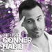591: Conner Habib