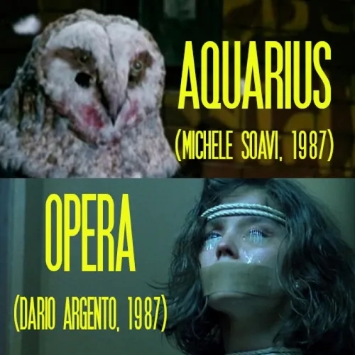 Aguas Turbias 141 &#8211; Aquarius + Terror en la ópera