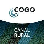 Canal Rural 13/10 - Safra de grãos 2022/2023: rentabilidade cai, mas segue positiva no Brasil