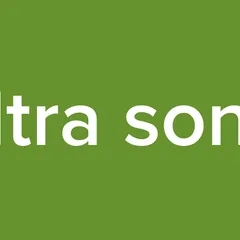 ultra song