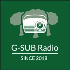 G-SUB Emergency Radio